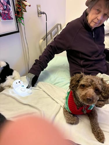 Customer shows an elderly person in bed touching the lit Otter Squishy Night Light.