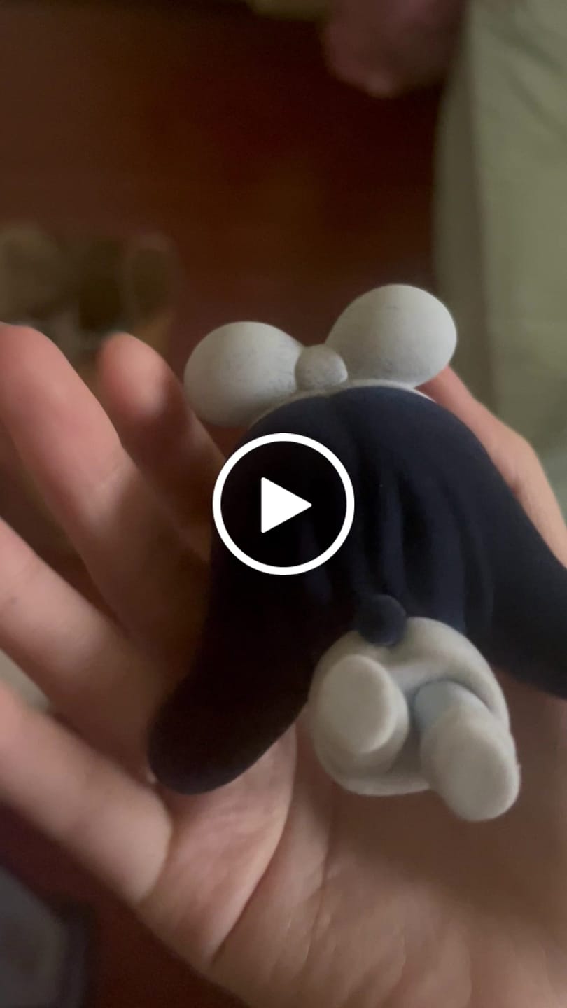 Customer video review of Alien Stage Rabbit Series Blind Box