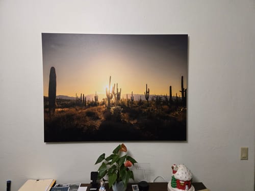 Customer photo review of Saguaro Sunrise - Tucson, Arizona