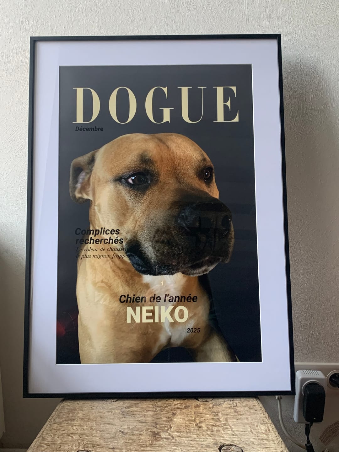 Customer photo review of Dogue - Poster personnalisé