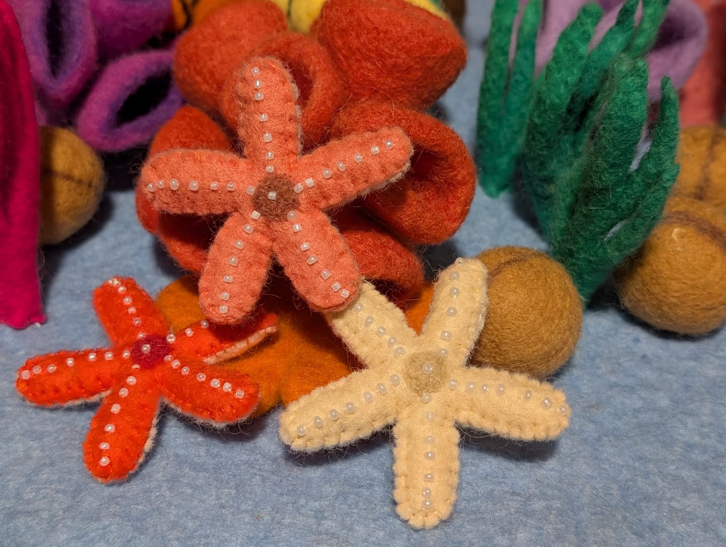 Customer photo review of Felt Starfish - Set of 3