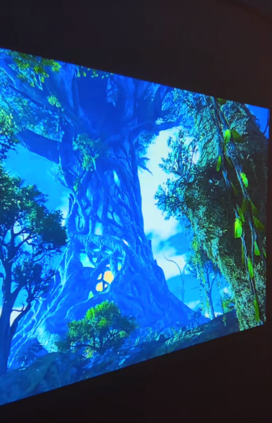 Customer photo review of Projecteur Lumiverse™