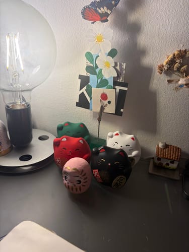 Customer photo review of Maneki Neko Verde - Rotondo