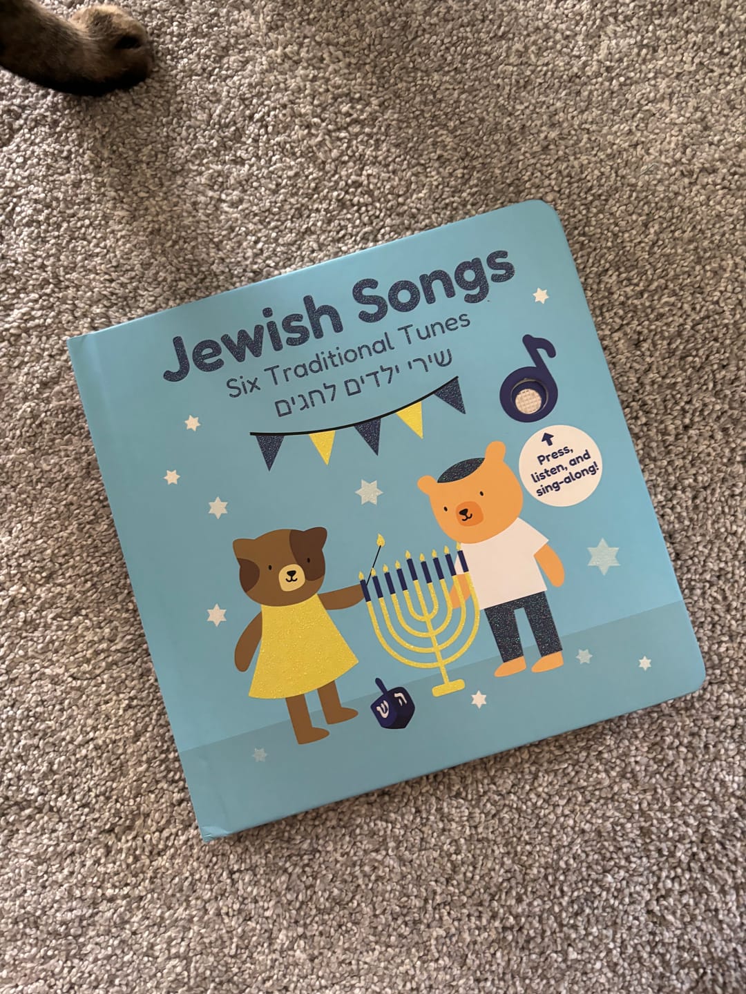 Customer photo review of Jewish Songs - Rechargeable Sound Book