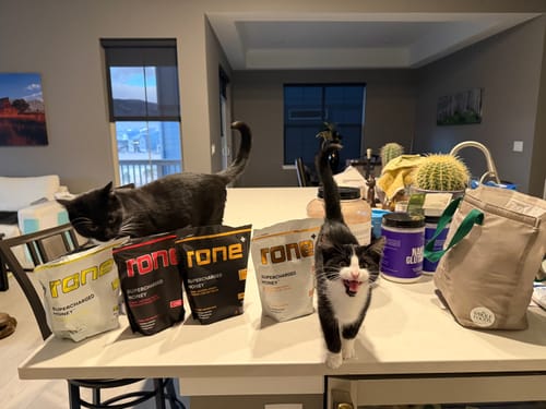 Customer photo review of Caffeine-Free - Classic - SuperCharged Honey (20-Pack)