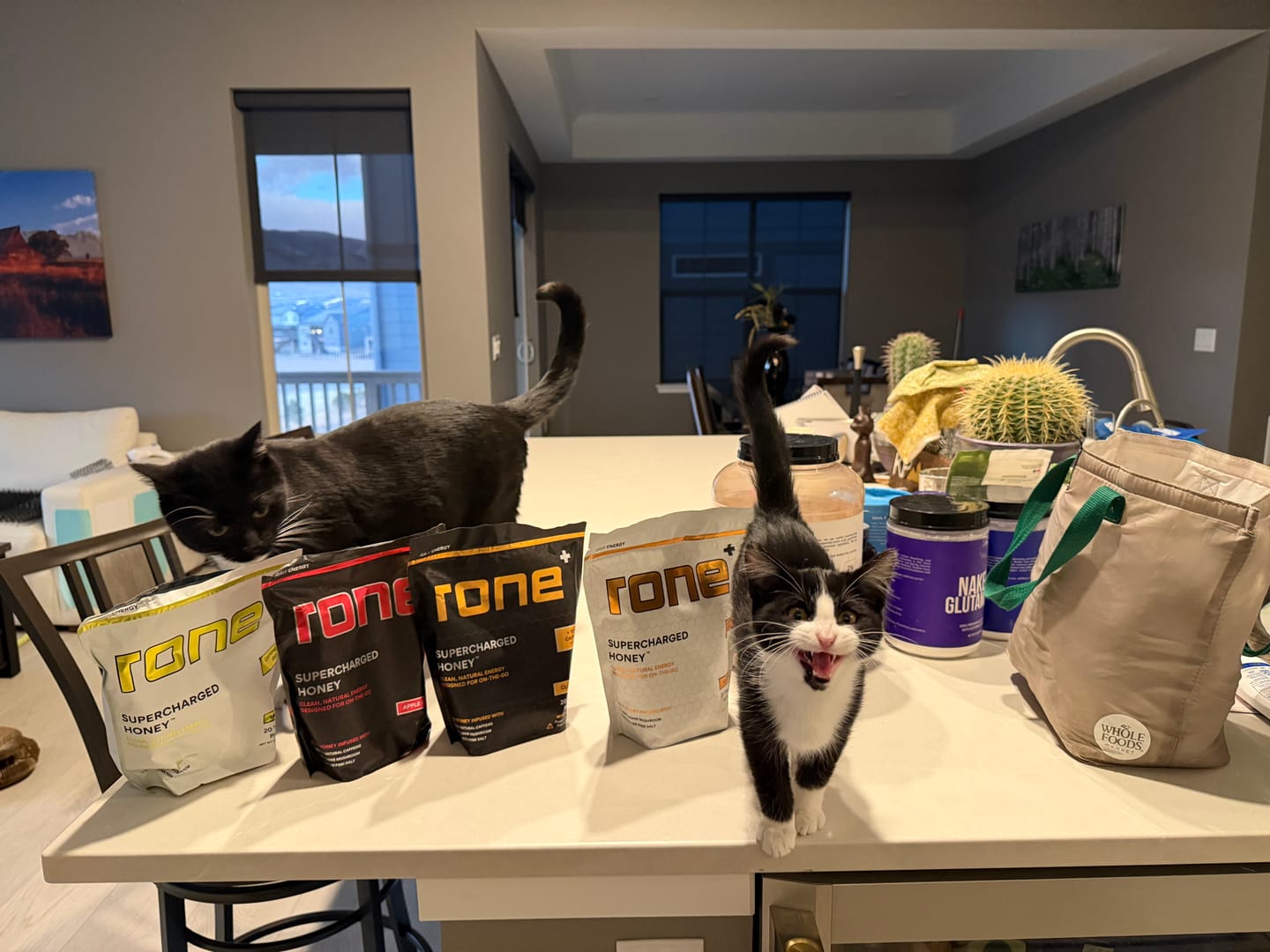 Customer photo review of Caffeine-Free - Classic - SuperCharged Honey (20-Pack)