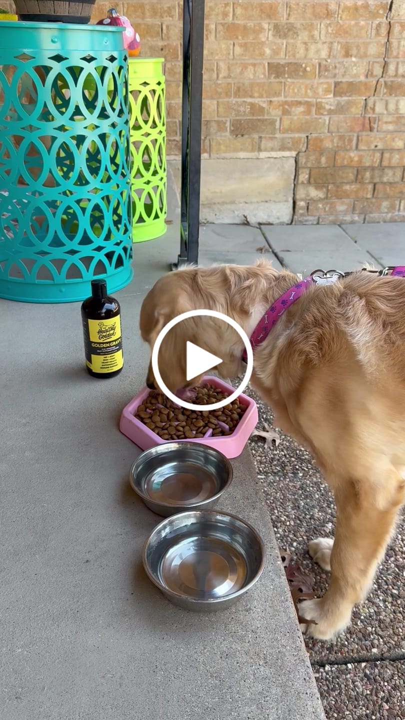 Customer video review of Golden Gravy