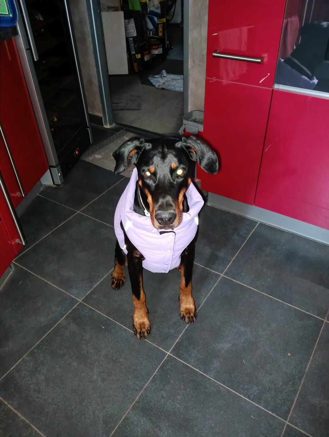 Customer photo review of WarmShield Water-Resistant Jacket - Lilac