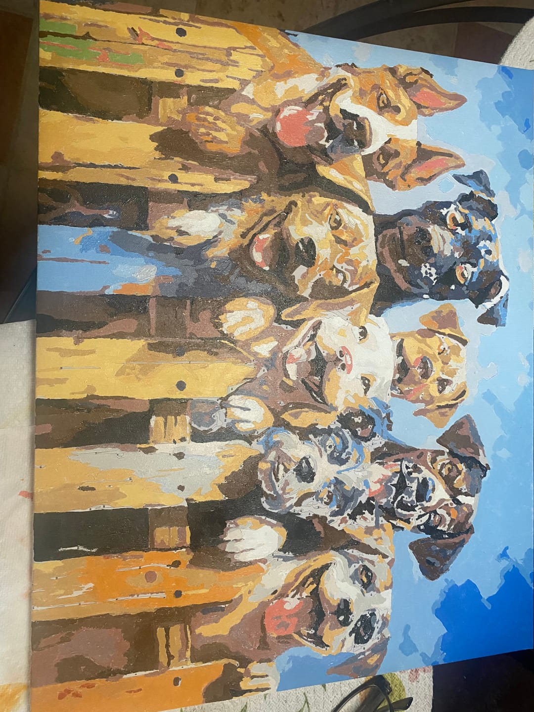 Customer photo review of Dog Days of Summer