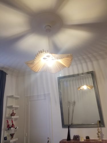 Customer photo review of Rose | Suspension