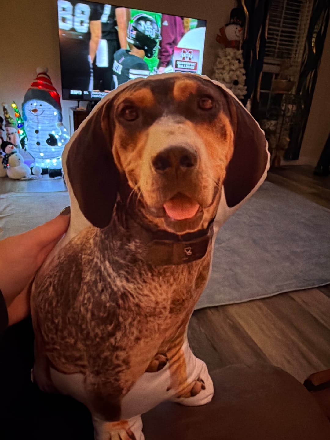 Customer photo review of Pet Pillow Looks Like Your Pet, Customize Dog Shaped Pillow with Pet Photo - ThePetPillow