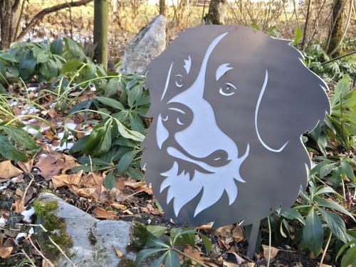 Customer photo review of Gartenstecker Berner Sennenhund Portrait