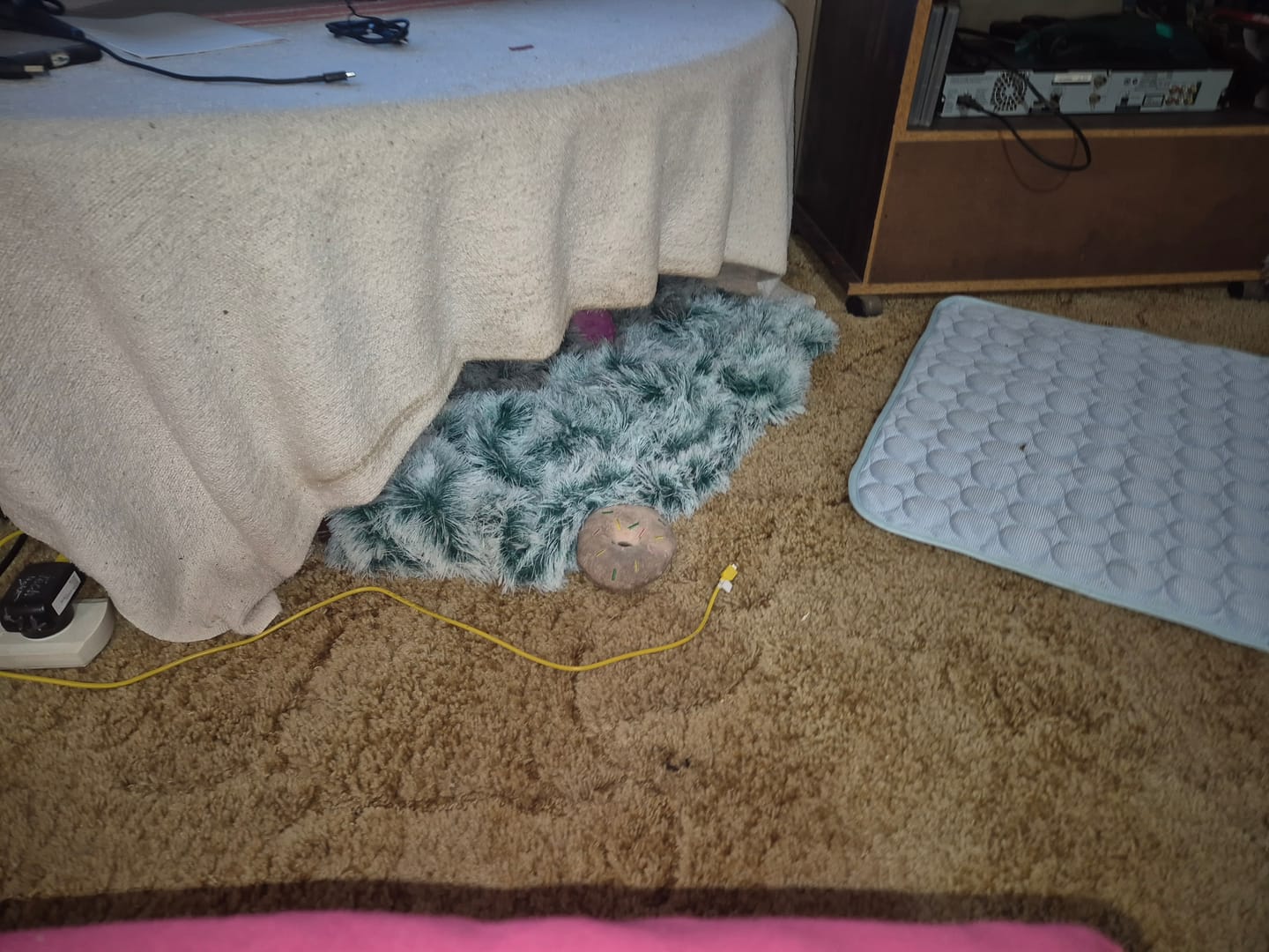 Customer photo review of Pet Calming Blanket