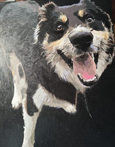 Customer photo review of Custom Pet Paint By Numbers