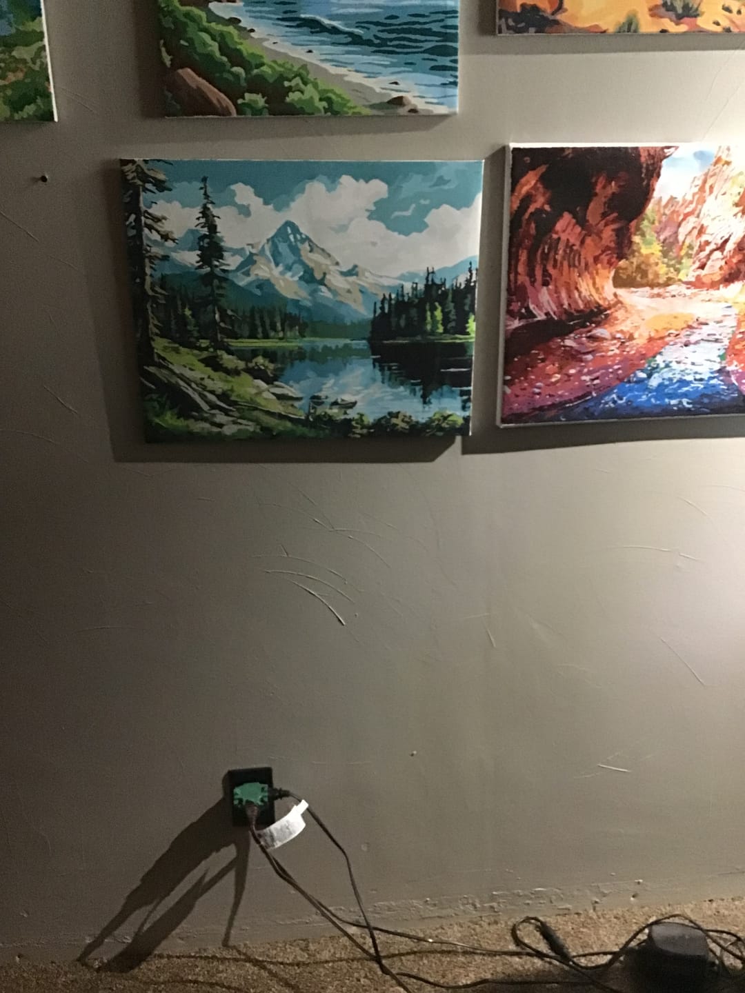 Customer photo review of Olympic National Park