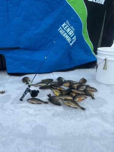 Customer photo review of RECOIL | SHOW