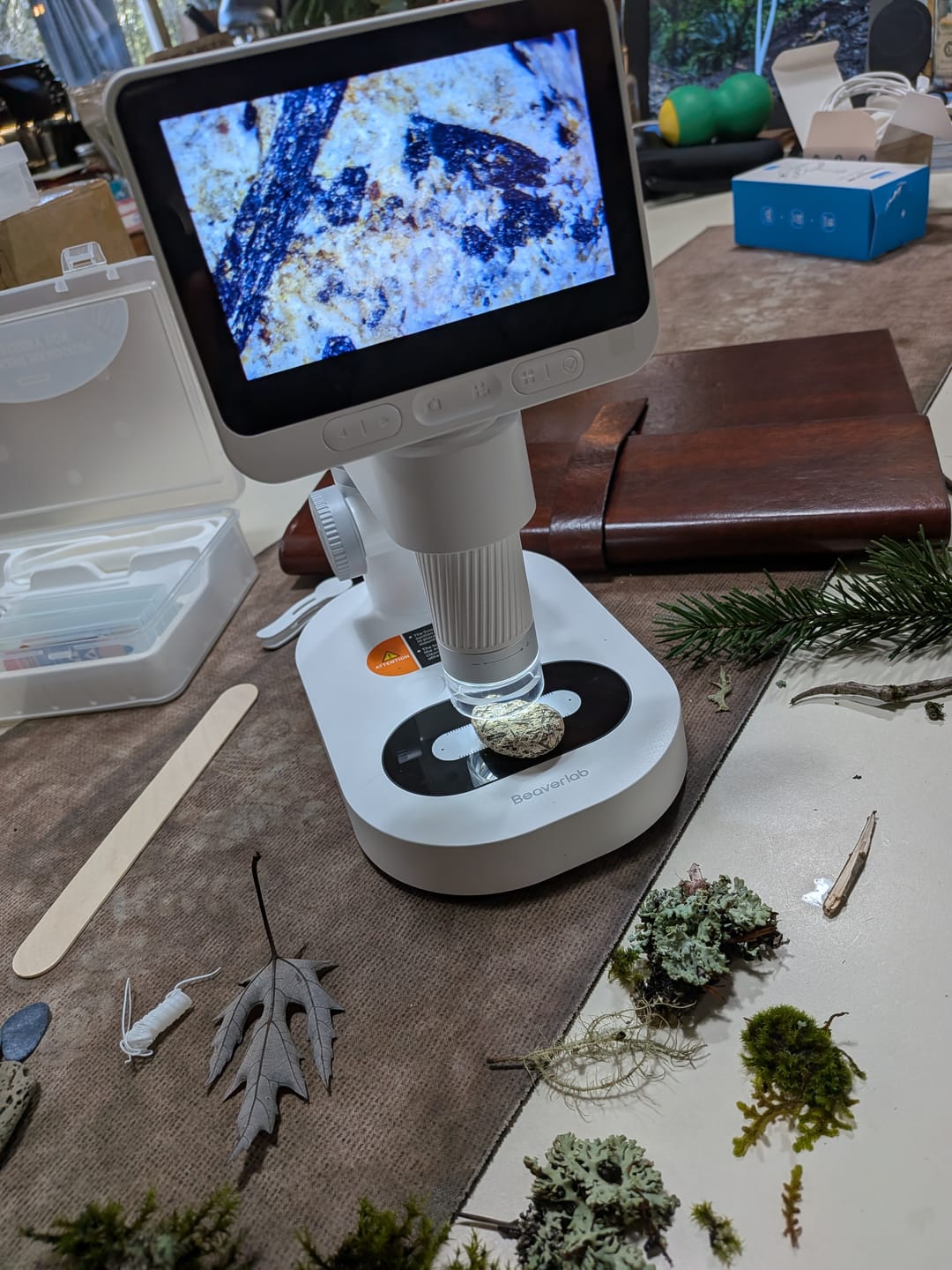 Customer photo review of DARWIN M2(S) PLUS Digital Microscope