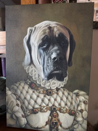 Customer photo review of Princess Pet Portrait