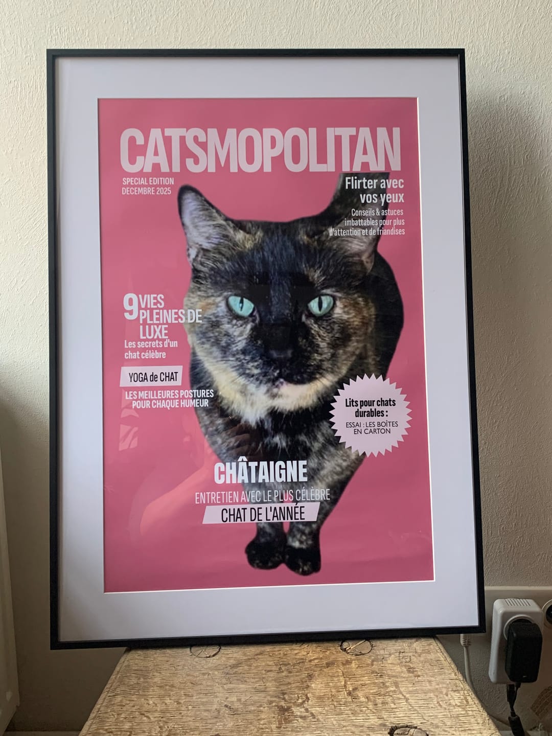 Customer photo review of Catsmopolitan - Poster personnalisé