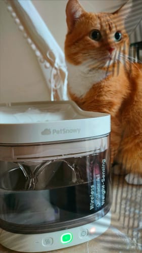 Customer photo review of Wireless Weight-Sensing Pet Fountain