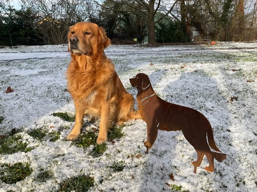 Customer photo review of Gartenstecker Golden Retriever