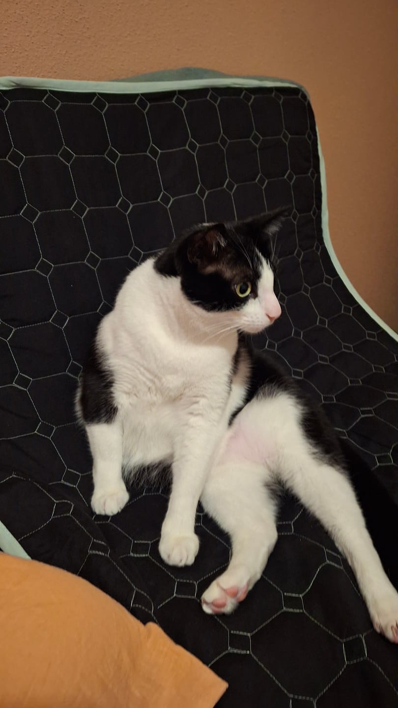 Customer photo review of Koanna® Therapy Mat Maxi