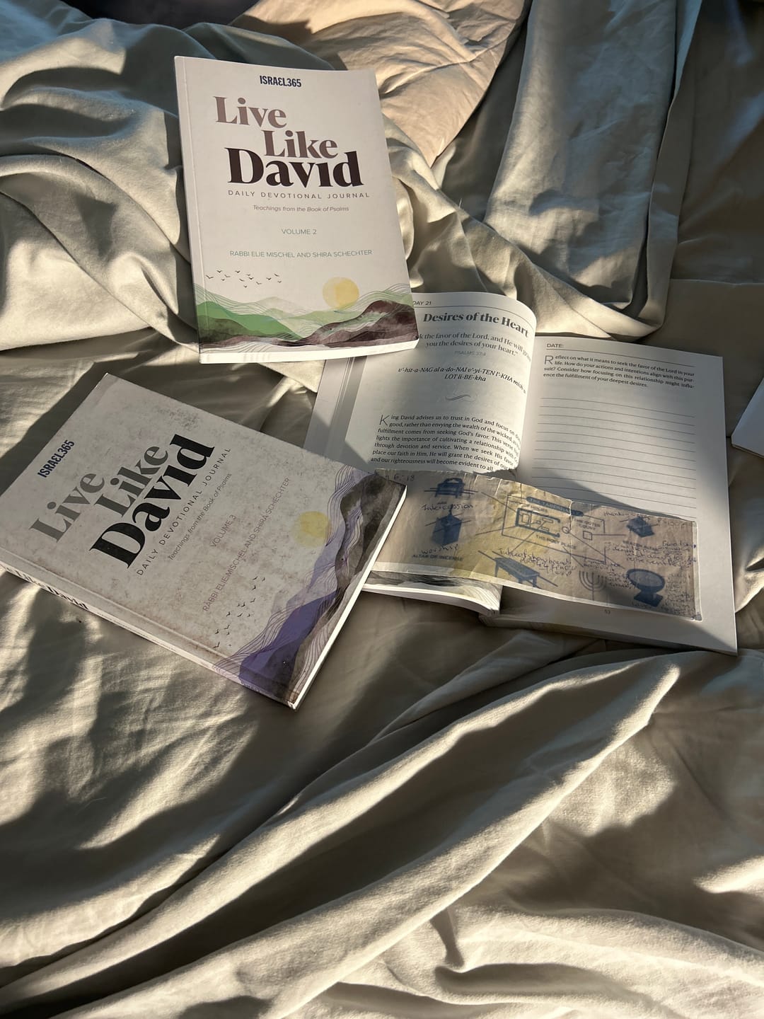 Customer photo review of Live Like David - Daily Devotional Journal - 3 Volume Softcover Set