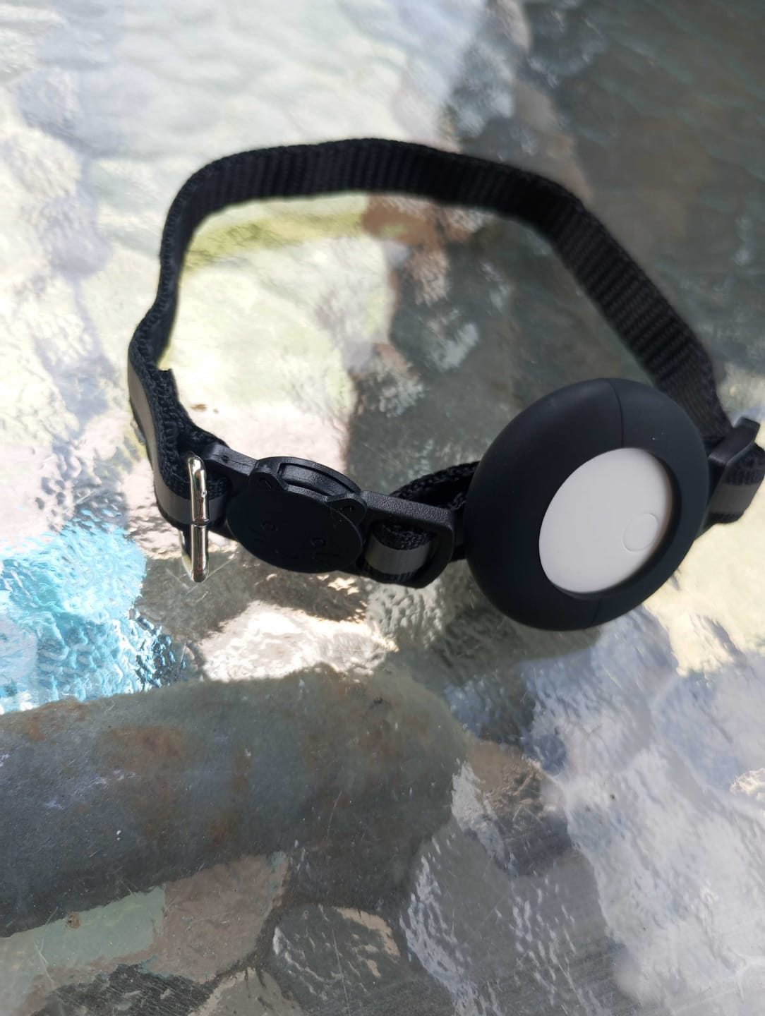 Customer photo review of AirTrackTag Kattpaket