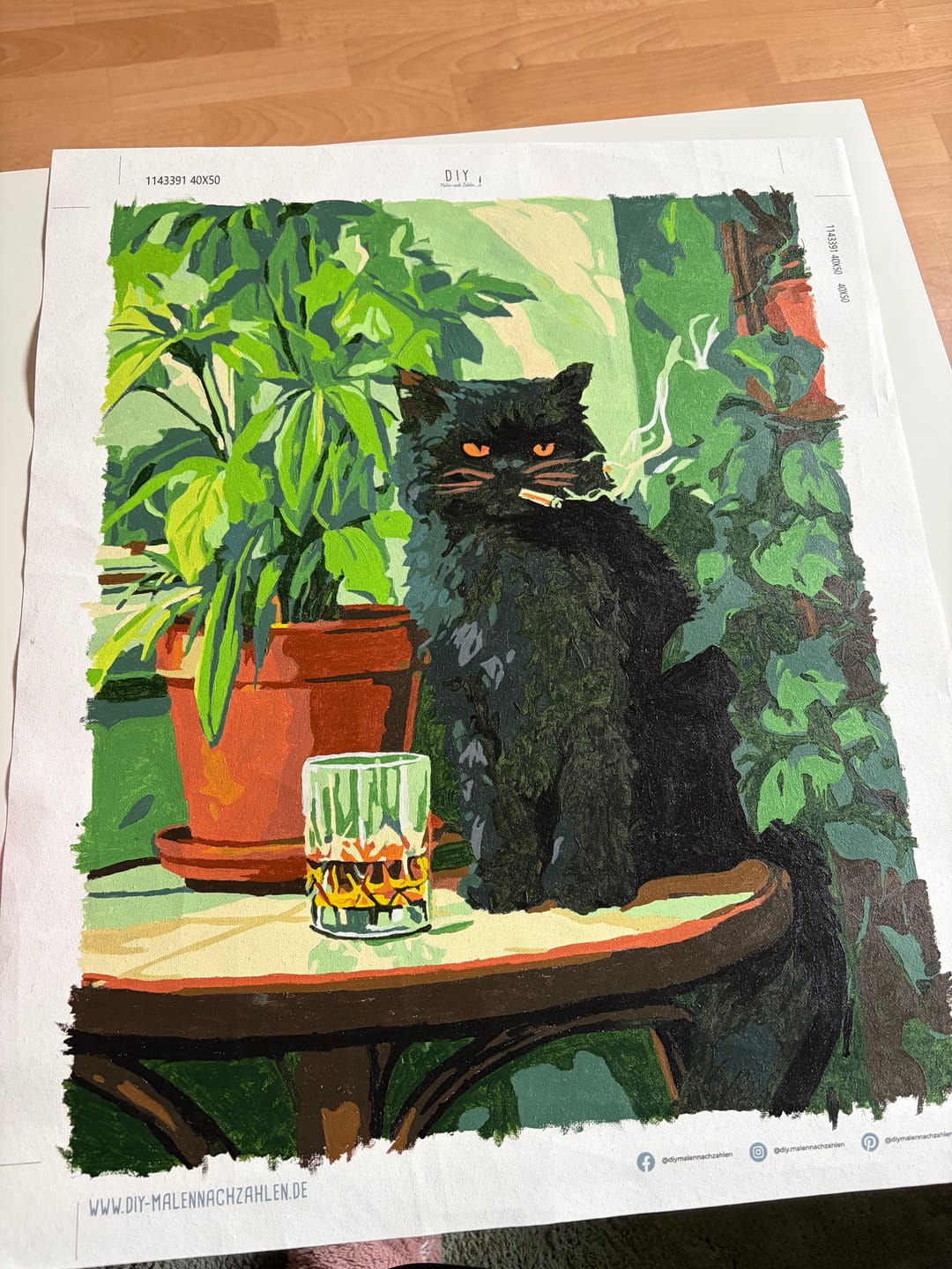 Customer photo review of Malen nach Zahlen - Grumpy Cat