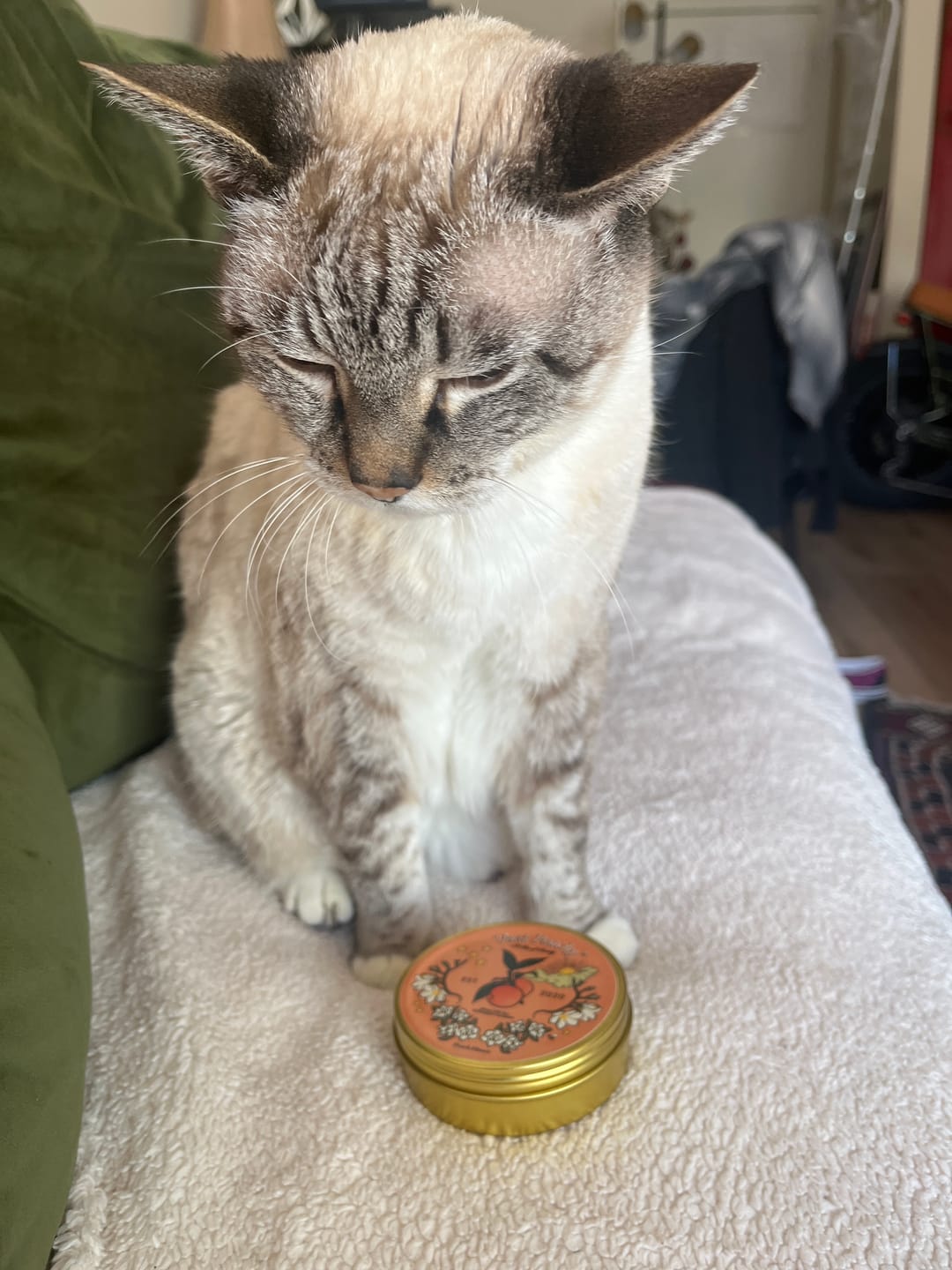 Customer photo review of "Just Peachy" CBD Gummies