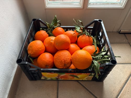 Ein Kunde zeigt eine schwarze Kiste voller leuchtend oranger Bio-Navel-Orangen, teilweise mit Blättern.