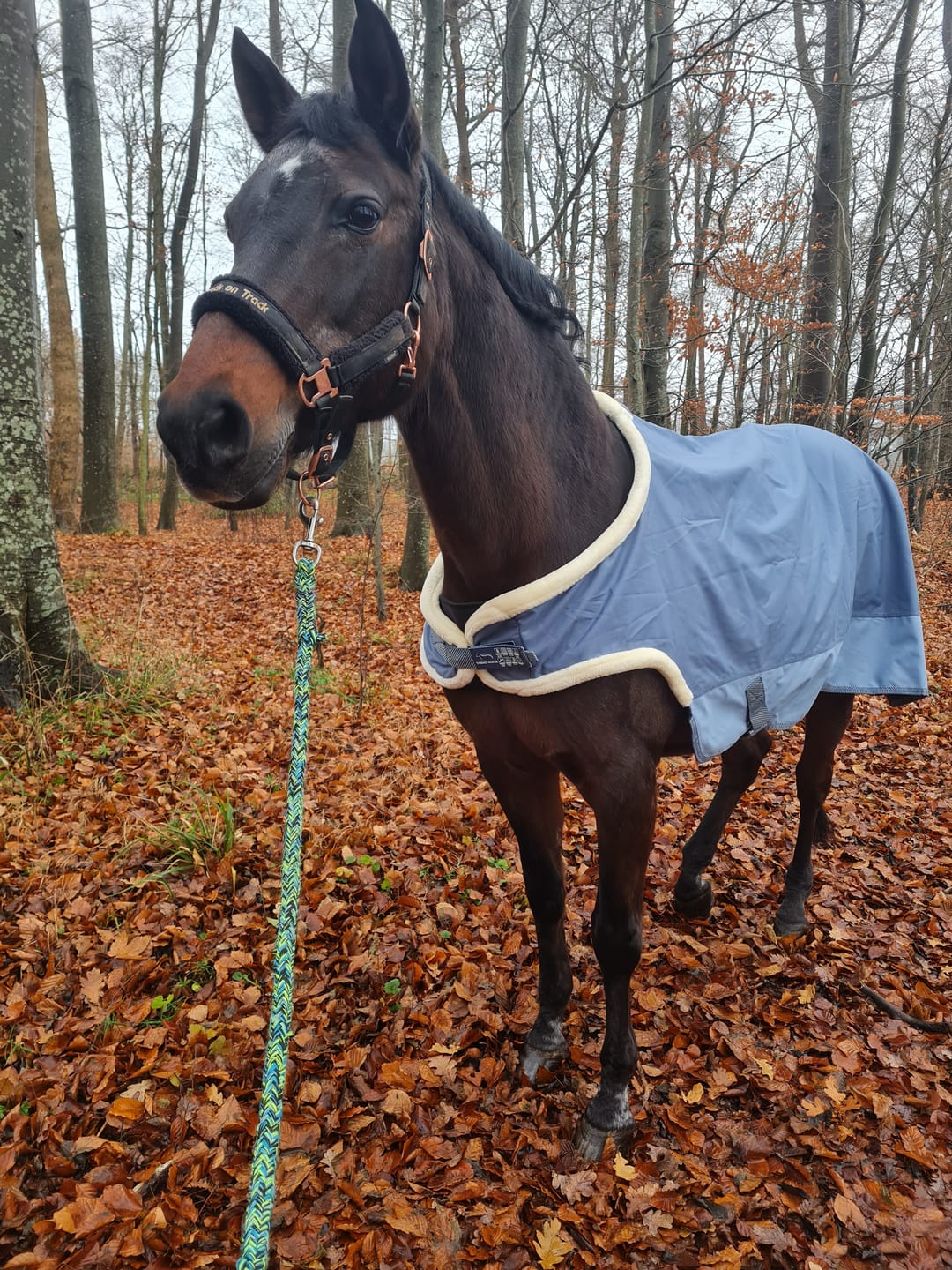 Customer photo review of Kristallkraft Move