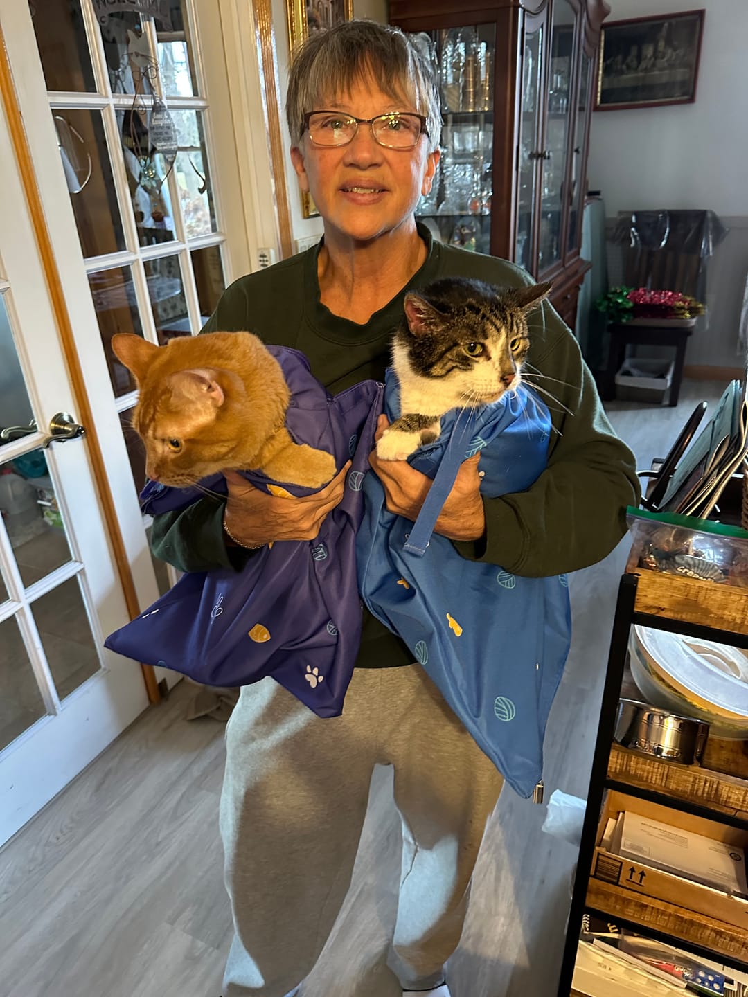 Customer photo review of Kitastic Cat Carrier