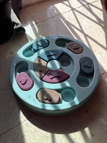 Customer photo review of Turn Mealtime Into a Fun & Healthy Challenge
SmartBite™ Slow Feeder Bowl