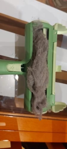 Customer photo review of Remove Pet Hair from Furniture in Seconds — No Refills Needed
FurRoll™ Reusable Hair Remover