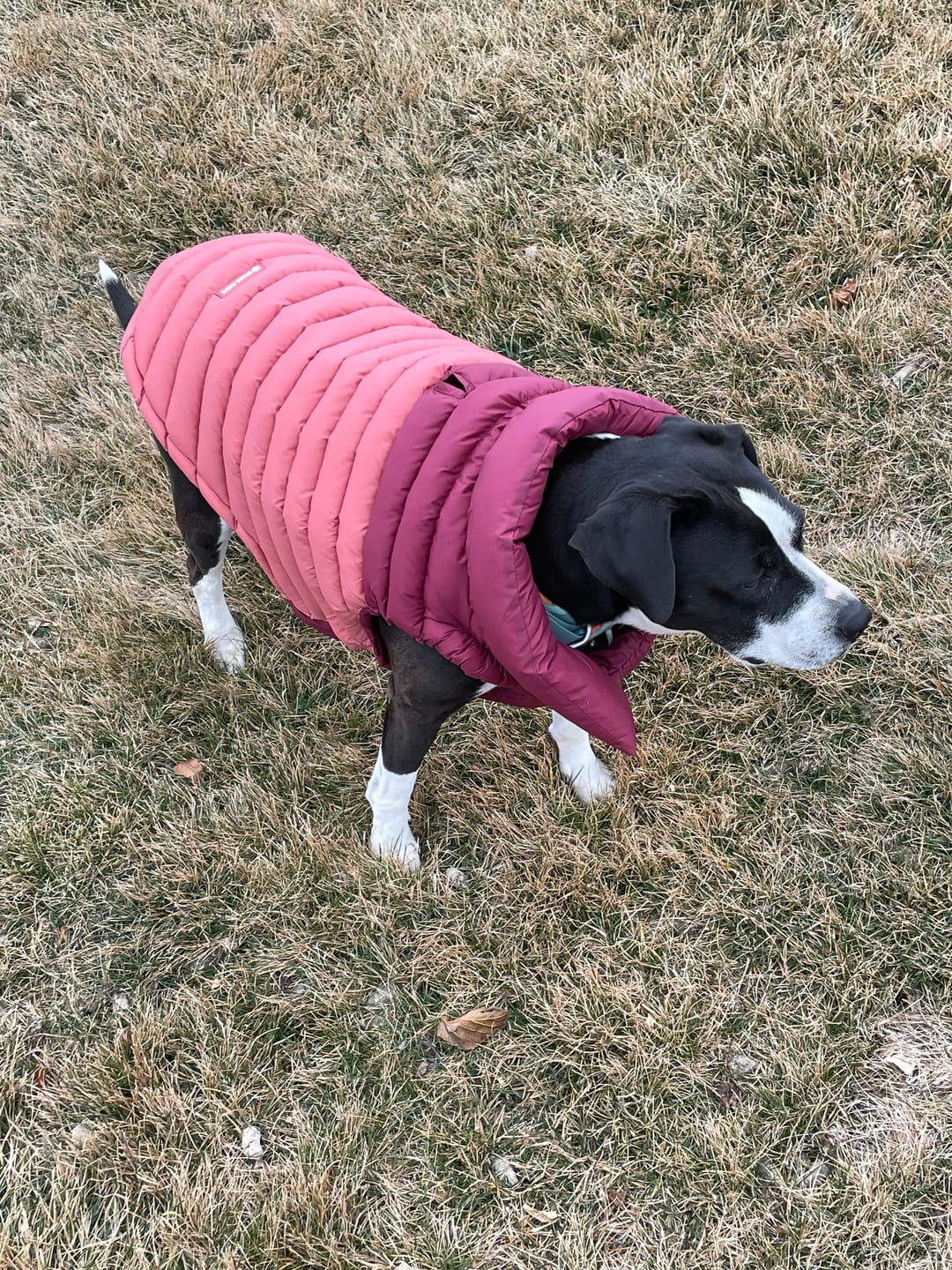 Customer photo review of PuffShield Winter Jacket - Red