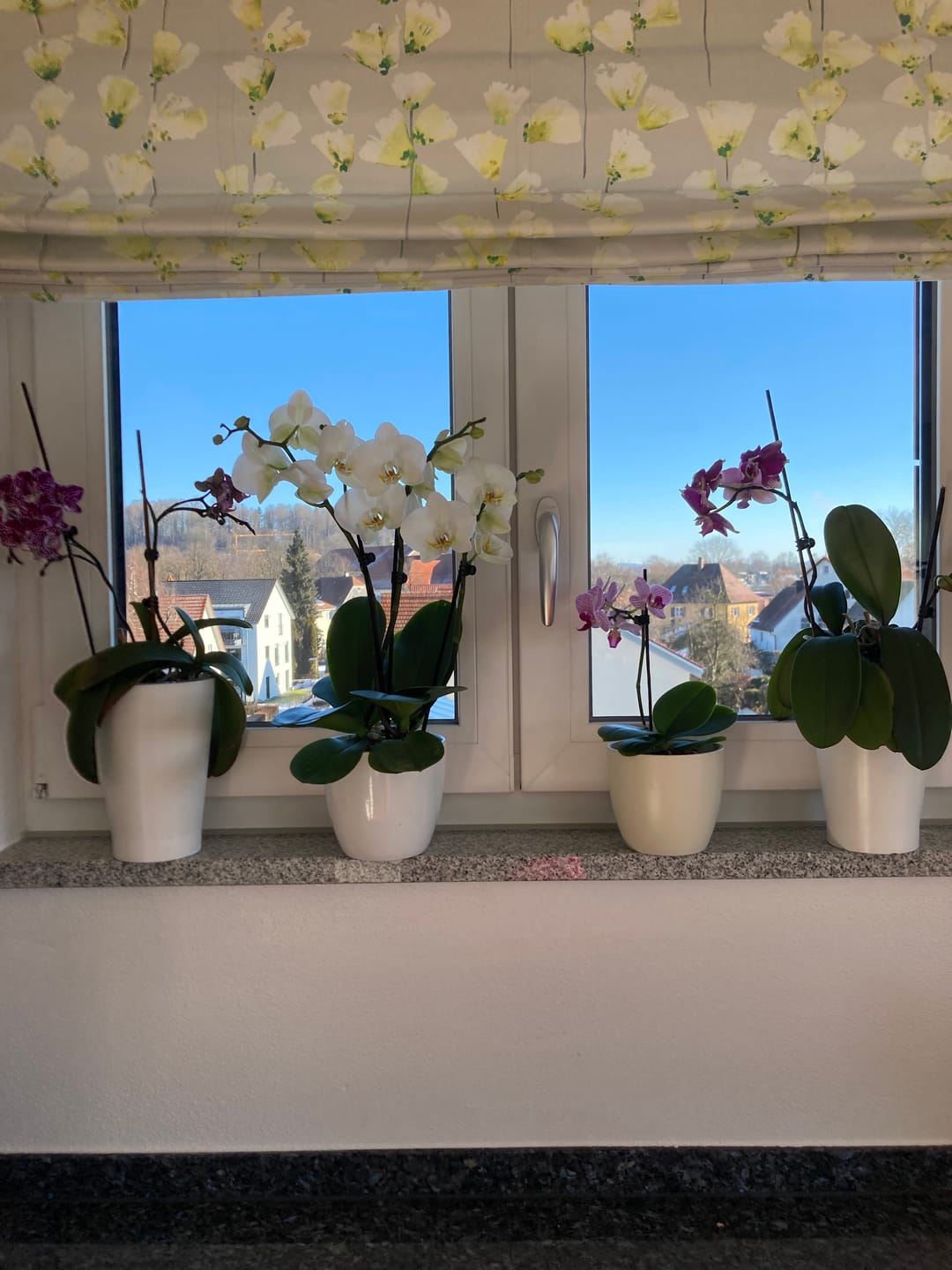Customer photo review of Große Two of Us Weiß mit weißen Blüten und 3 Rispen