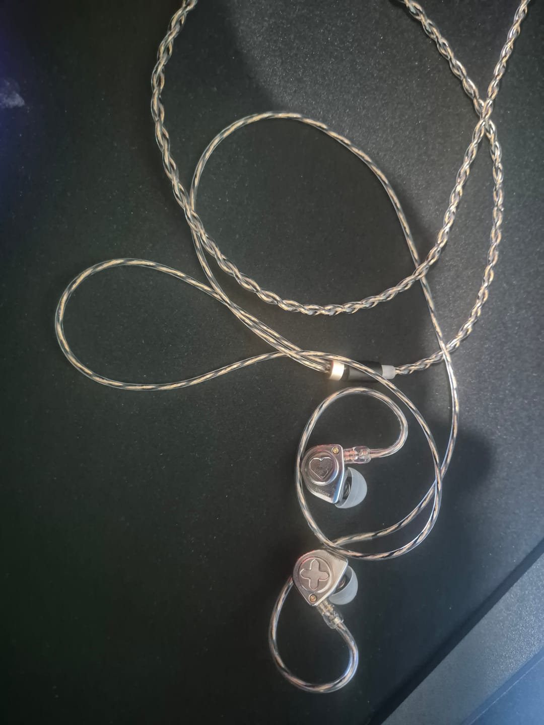 Customer photo review of SIMGOT EW300 IEM Kulaklık