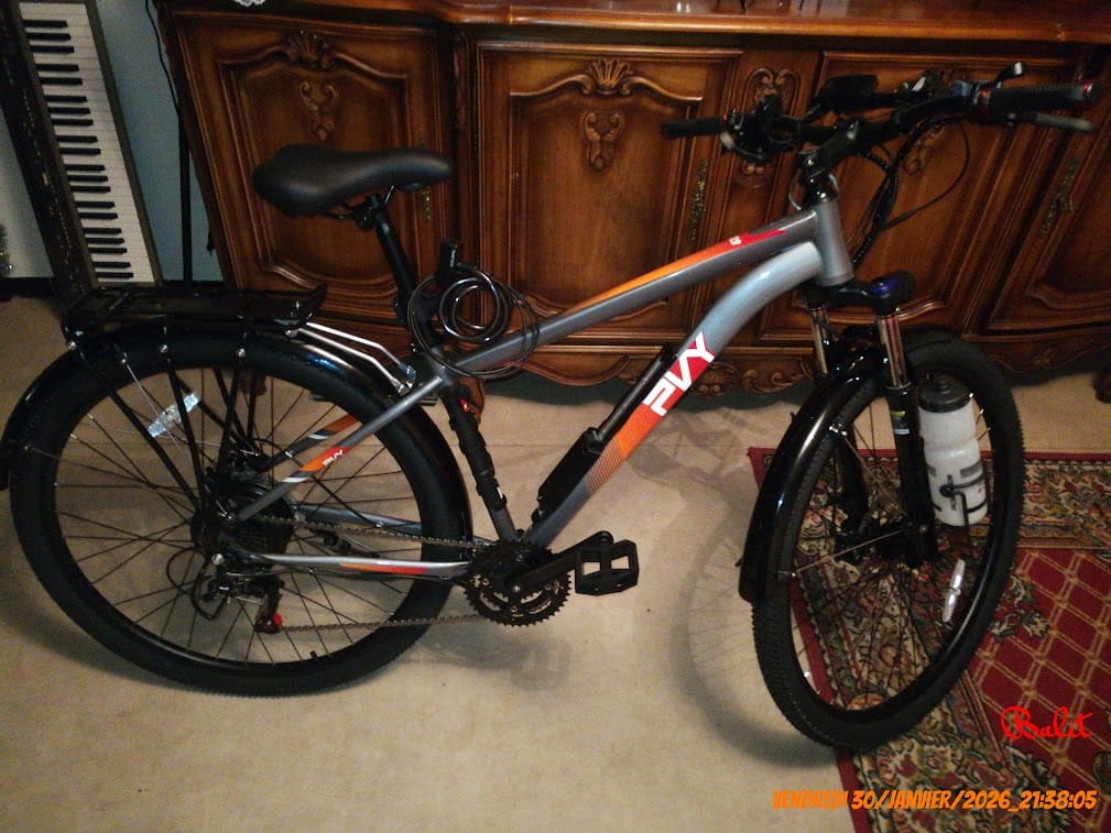 Customer photo review of PVY M29