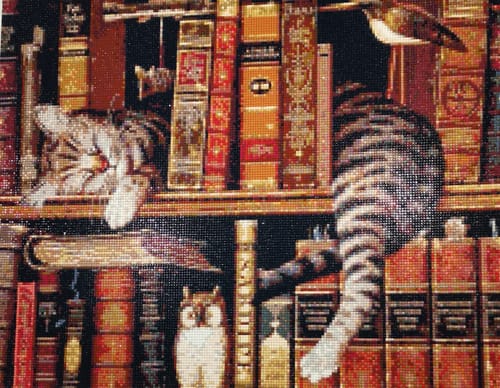 Kundenbewertung mit Foto zu Schlafende Katze im Bücherregal