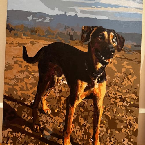 Customer photo review of Custom Pet Paint By Numbers