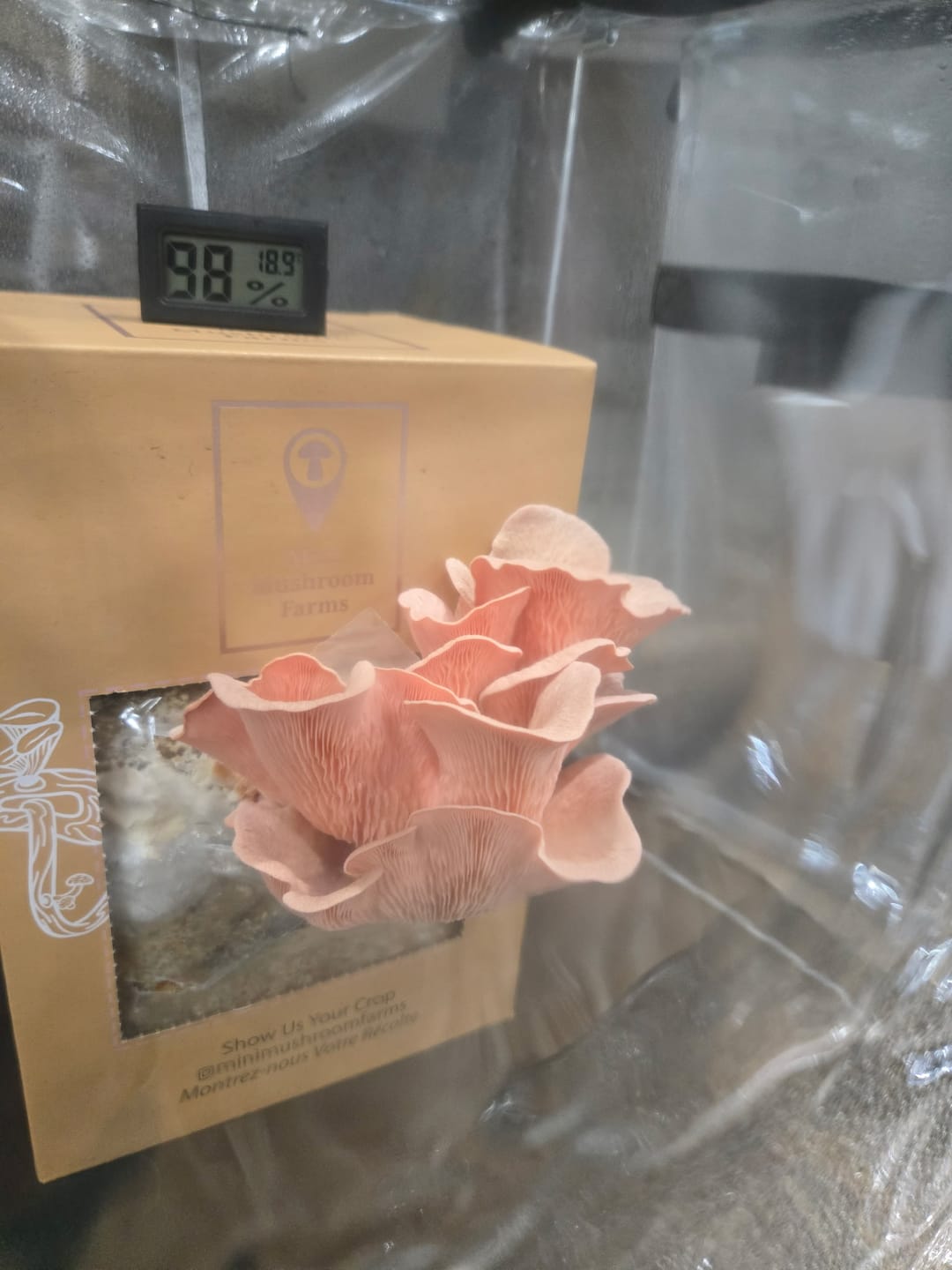 Customer photo review of Essentials Bundle Gift Set + Grow Kit
