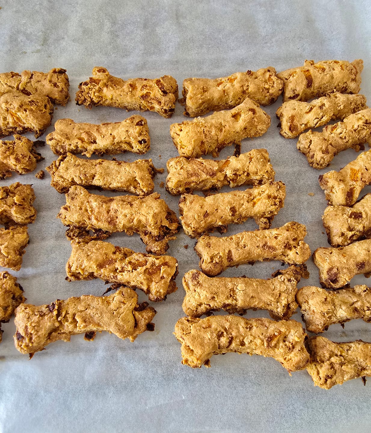 Customer photo review of BoneItUp® Homemade Dog Treats Kit