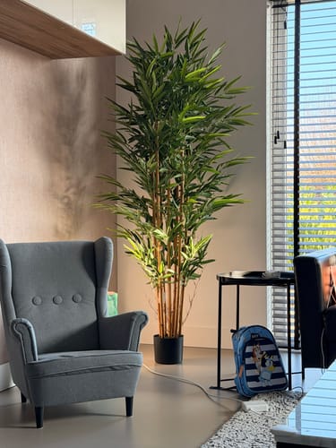 Customer photo review of Bamboe Kunstplant 180 cm