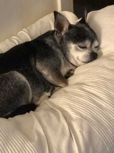 Customer photo review of ORIGIN