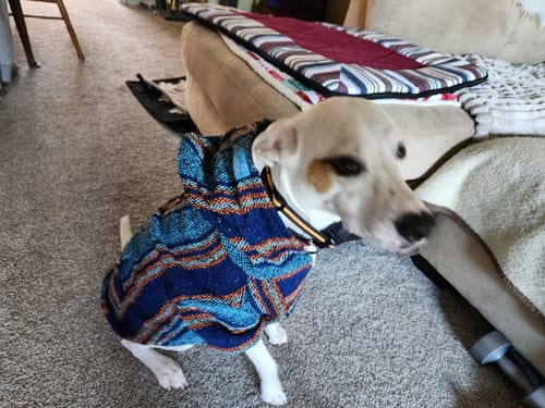 Customer photo review of Free & Easy Return or Exchange Coverage + Package Protection