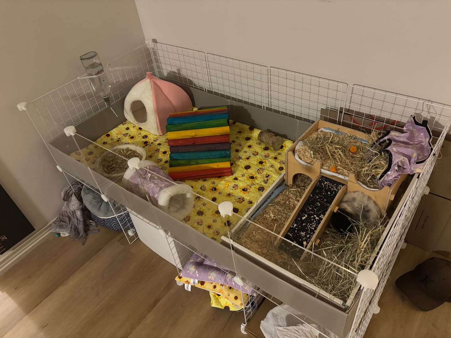 Customer photo review of Bee-utiful Sunflowers Fleece Liner for C&C Ozzy Cages