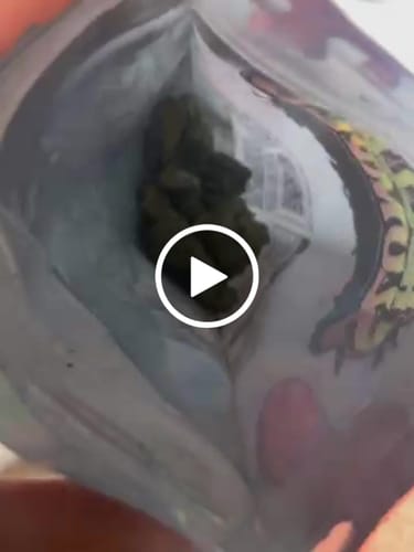 Customer video review of Greenhouse Smalls