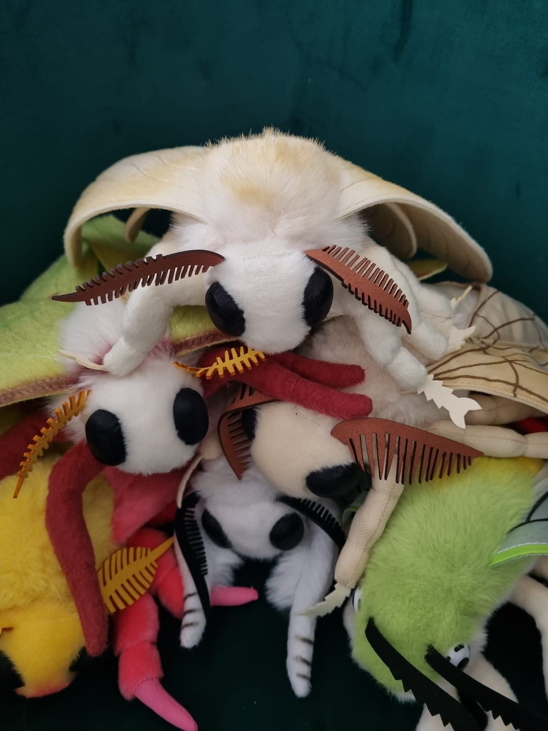 Customer photo review of Silkworm Moth Soft Stuffed Plush Toy
