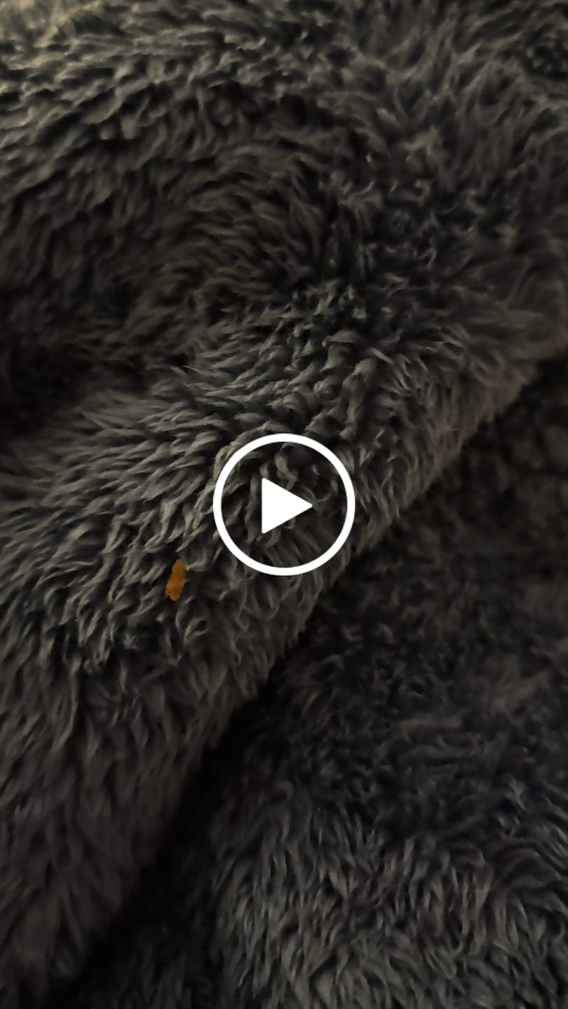 Customer video review of The Dark Arts - Grimdark Paint Bundle